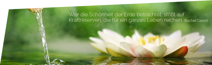 Wer die Schönheit der Erde betrachtet, stößt auf Kraftreserven, die für ein ganzes Leben reichen. (Rachel Cason)